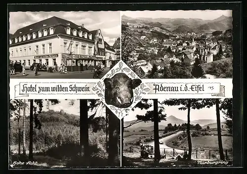 AK Adenau /Eifel, Hotel zum wilden Schwein, Totalansicht