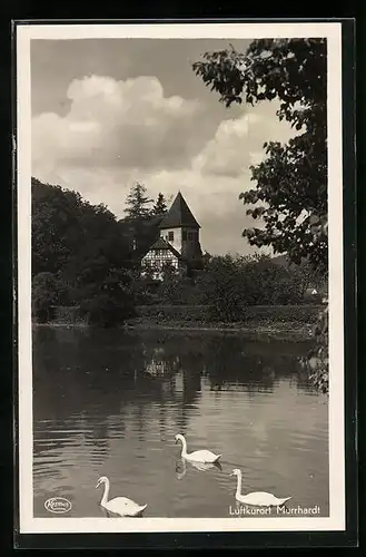 AK Murrhardt, Uferpartie mit Schwänen