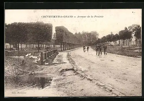 AK Crevecoeur-le-Grand, Avenue de la Prairie