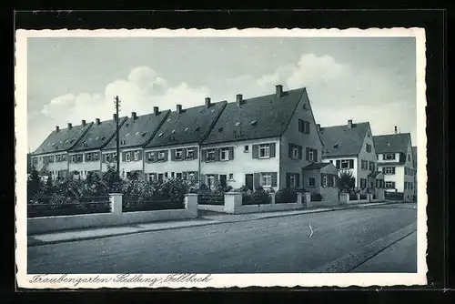 AK Fellbach, Reihenhäuser der Traubengarten Siedlung