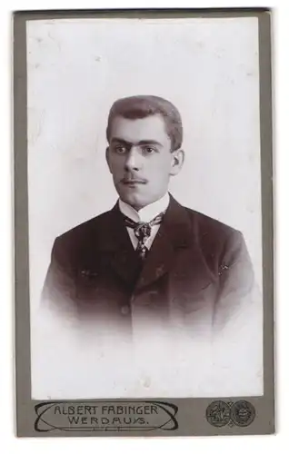 Fotografie Albert Fabinger, Werdau, Reichenbacherstrasse 46a, Jüngling mit Monobraue