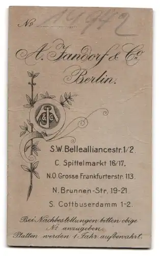 Fotografie A. Jandorf & Co., Berlin, Portrait junge Frau im Kleid mit Federboa udn Blumenhut