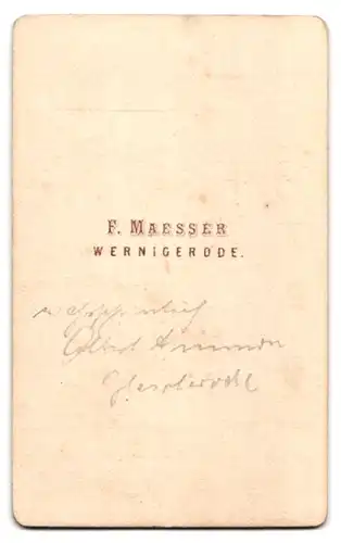 Fotografie F. Maesser, Wernigerode, Eleganter Junge im Anzug mit Fliege
