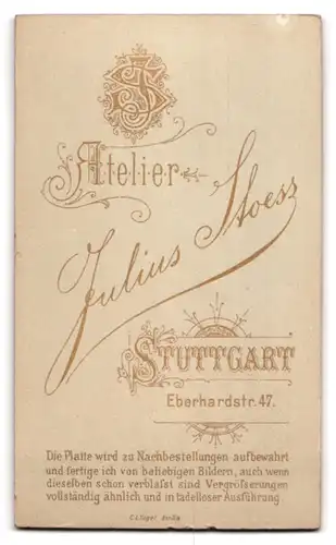 Fotografie Julius Stoess, Stuttgart, Eberhardstrasse 47, Erstauntes Baby auf Sessel