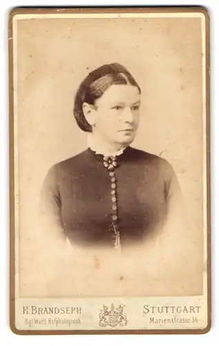 Fotografie H. Brandseph, Stuttgart, Marienstrasse 36, Portrait einer Dame mit Hochsteckfrisur