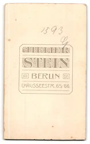 Fotografie Wilhelm Stein, Berlin, Chaussee Strasse 65 /66, Junge hübsche Dame mit auftoupiertem Haar