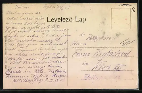 AK Trencsén-Teplicz, Totalansicht mit Berglandschaft