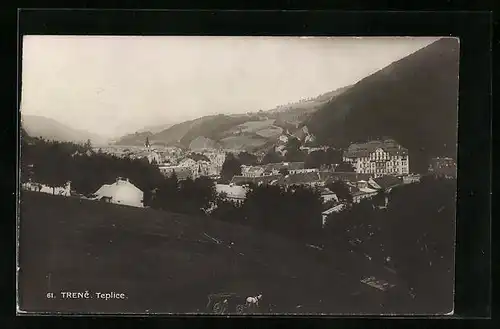 AK Trenc. Teplice, Panorama