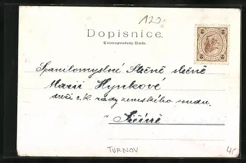 AK Turnau / Turnov, Panorama