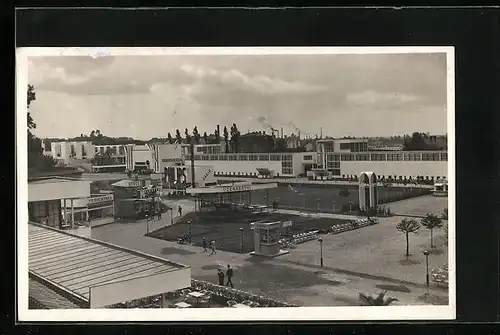 AK Pardubice, Vystava telesne vychovy a sportu, Ausstellung