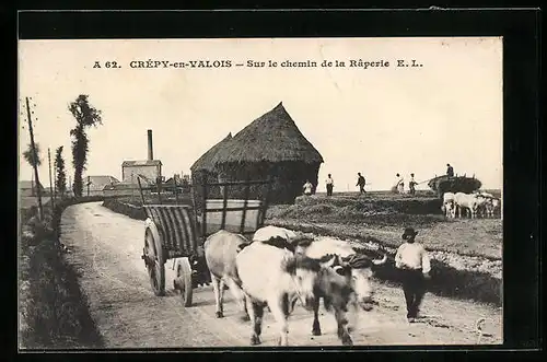 AK Crepy-en-Valois, Sur le chemin de la Raperie