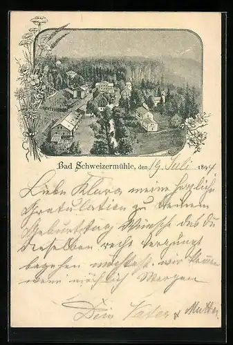 Vorläufer-Künstler-AK Bad Schweizermühle, 1894, Ortsansicht aus der Vogelschau