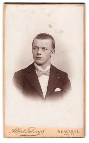 Fotografie Albert Fabinger, Werdau, Markt 21, Jüngling mit gestreifter Krawatte