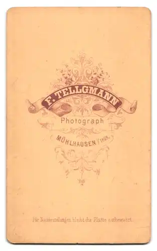 Fotografie F. Tellgmann, Mühlhausen i. Th., Portrait junge Frau mit geflochtenem hochgestecktem Zopf