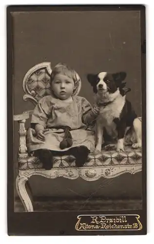 Fotografie R. Przibill, Hamburg, Reichenstr. 18, Ansicht kleines Kind im Kleidchen mit Hund auf einer Bank