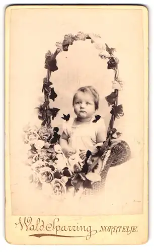 Fotografie Wald. Sparring, Norrtelje, Portrait niedliches Kind im Weidekorb mit Blumen