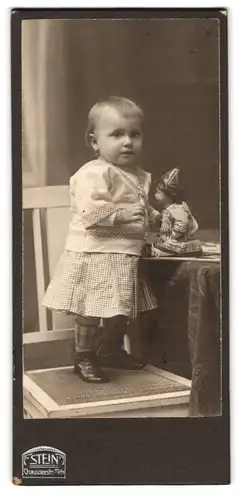 Fotografie F. Stein, Berlin, Chausseestr. 70 /71, Portrait niedliches Mädchen im karierten Kleid mit Puppe