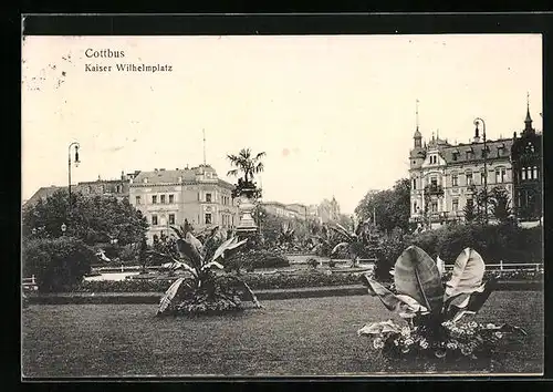 AK Cottbus, Grünanlagen im Kaiser-Wilhelmplatz