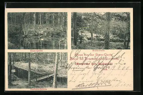 AK Briese bei Birkenewerder /Nordbahn, Restaurant Rob. Bachernick, Elsen-Quelle, Briese-Delta, Herkules-Brücke