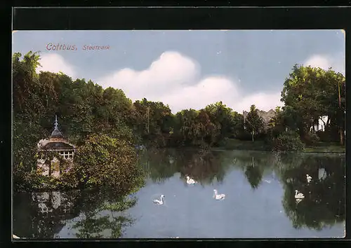 AK Cottbus, Stadtpark mit Teich