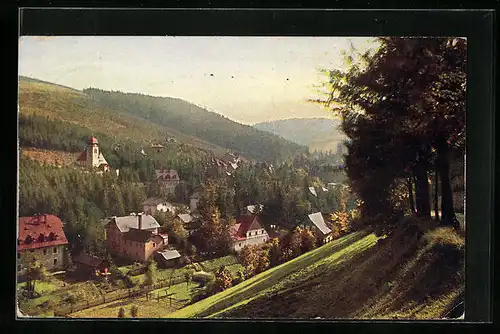 AK Kipsdorf im sächs. Erzgebirge, Blick auf Tal Kipsdorf