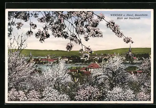 Künstler-AK Werder /Havel, Blick zur Inselstadt in Baumblüte, Hotel Bismarckshöhe