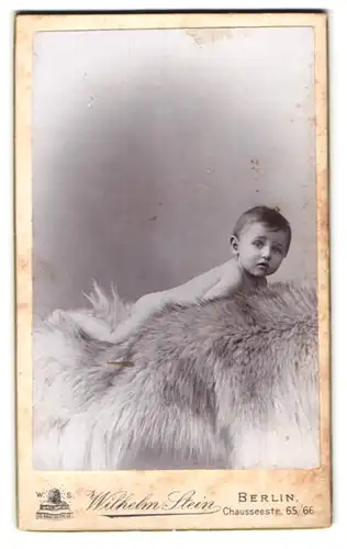 Fotografie Wilhelm Stein, Berlin, Chausseestr. 65 /66, Portrait nacktes Baby auf einem Fell liegend
