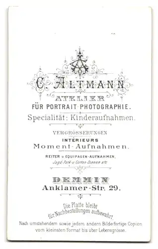 Fotografie C. Altmann, Demmin, Anklamerstr. 29, Portrait brünette Schönheit mit Dutt