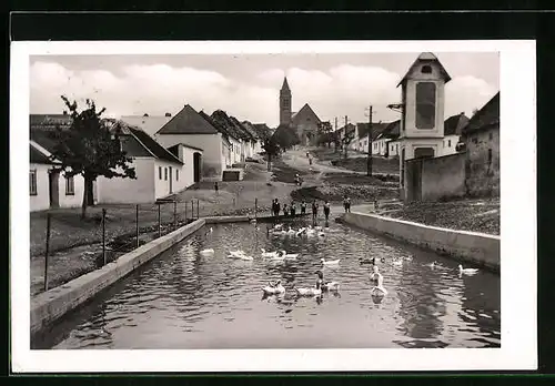 AK Saitz n. D., Kinder am Ententeich