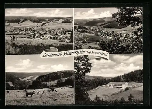 AK Niedersfeld / Hochsauerland, Totalansichten