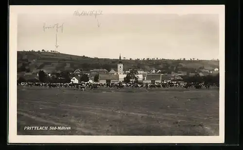 AK Prittlach, Panorama mit Kuhwiese