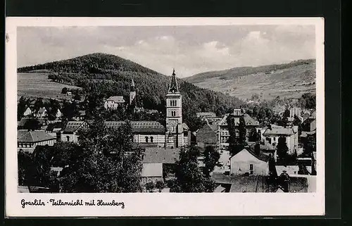 AK Graslitz, Teilansicht mit Hausberg