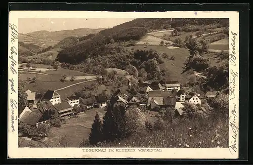 AK Tegernau / Wiesental, Panoramablick von der Bergwiese