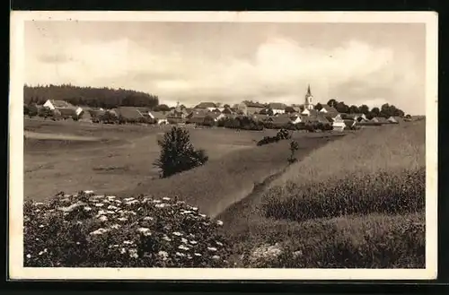 AK Belcice, Stadtansicht mit der Kirche von den Feldern aus
