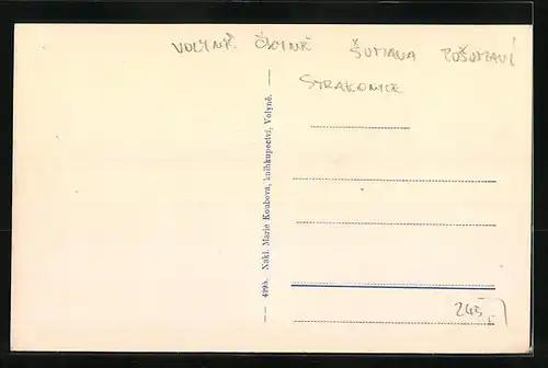 AK Volyne na Sumave, Mestanska skola