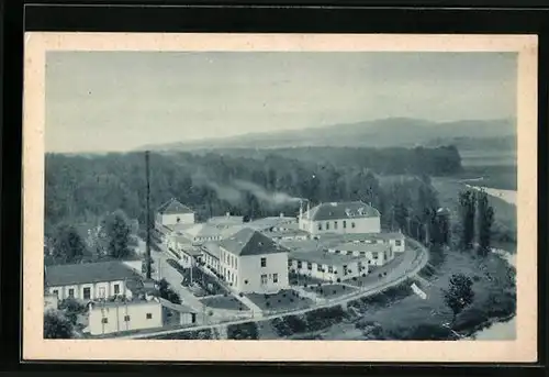 AK Kupele Piestany, Pro Patria