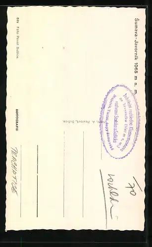 AK Javorník, Panorama