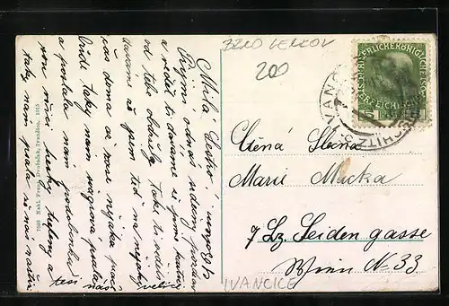 AK Ivancice, Celkovy pohled