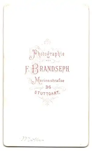 Fotografie F. Brandseph, Stuttgart, Portrait junge Dame im Biedermeierkleid mit Brosche