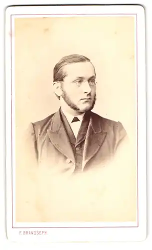 Fotografie F. Brandseph, Stuttgart, Portrait Herr im Anzug mit Backenbart udn Brille