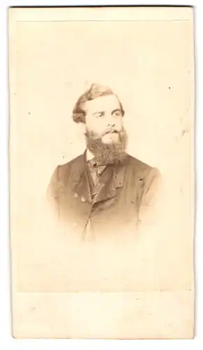Fotografie Joh. Hahn, Nürnberg, Portrait Herr im Anzug mit buschigem Vollbart