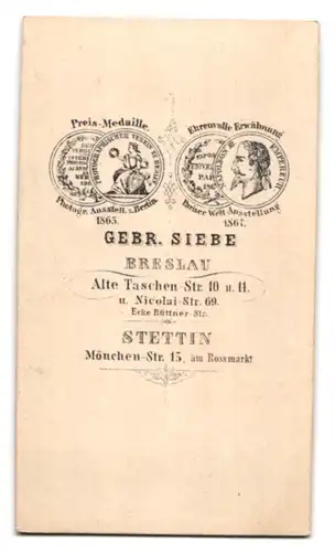 Fotografie Gebr. Siebe, Stettin, Mönchen-Str. 15, Portrait Herr im Anzug mit Fliege und Vollbart