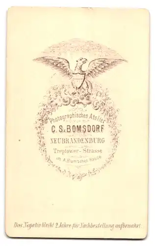 Fotografie C. S. v. Bomsdorf, Neubrandenburg, Treptowerstr., Portrait Herr im Anzug mit buschigem Backenbart