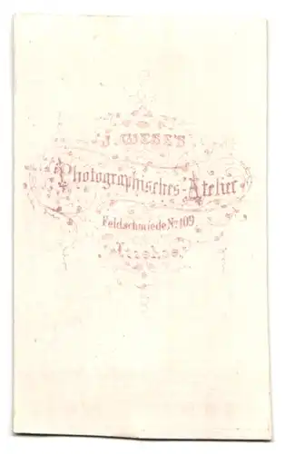 Fotografie J. Giese, Itzehoe, Feldschmiede 109, Portrait Dame im seidenen Biedermeierkleid mit Haarschmuck