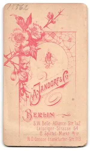 Fotografie A. Jandorf & Co., Berlin-SW, Belle-Alliance-Str. 1 & 2, Junger Herr in modischer Kleidung