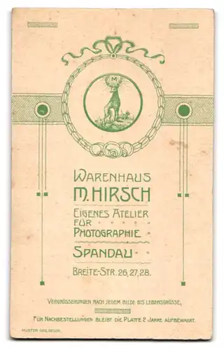 Fotografie Warenhaus M. Hirsch, Berlin-Spandau, Breite-Str. 26-28, Junge Dame in hübscher Bluse und Rock