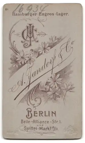 Fotografie A. Jandorf & Co., Berlin, Belle-Alliance-Str. 1, Junger Herr im Anzug mit Krawatte