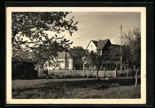 AK Eriskirch - Moos, St. Theresienheim