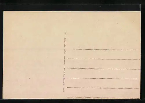 AK Pirna a. d. E., Totalansicht mit Sonnenstein