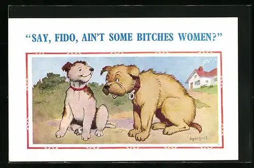 Künstler-AK Donald McGill: Say, Fido, ain`t some Bitches Women?